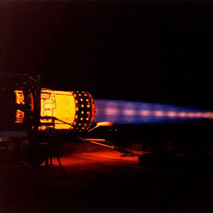 Meet your Posher, Ethan-amani